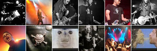 Wildhearts Collage